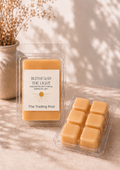 The Trading Post Wax Melt