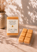 Santa's Stash Wax Melts